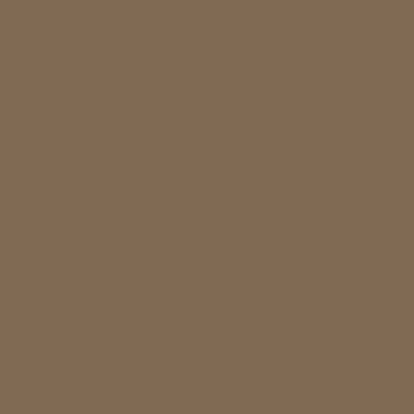 Italeri color acrylic 4846AP - Flat Dark Earth Ana 617 20ml