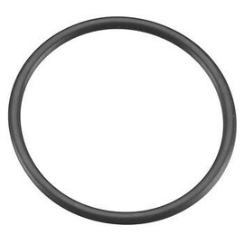 Rear cover sealing ring (S28) 55HZ