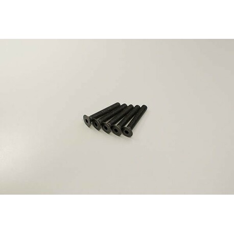 HEX FLAT-HEAD SCREWS 4X25MM (5L) l