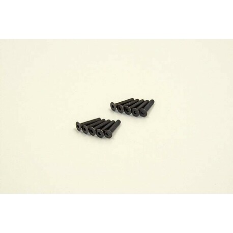 Hex Flat Head Screws 3x16mm (10)