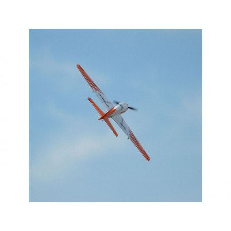 E-flite V900 0.9m SAFE Select BNF Basic