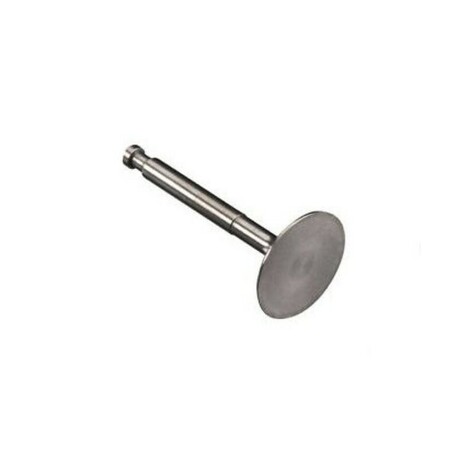 Exhaust valve GF30-40