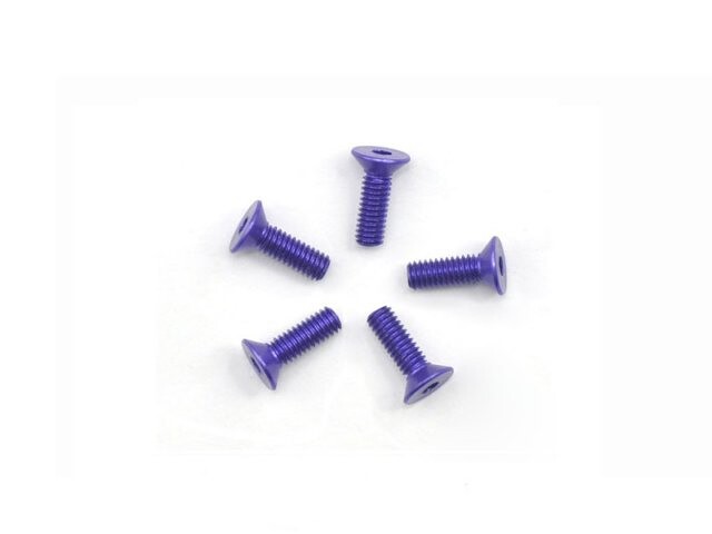 Arrowmax Alu Screw Allen Countersunk M2.5X8 Purple (7075) (5) AM-14CS2508-P - AM-14CS2508-P - expresní doprava