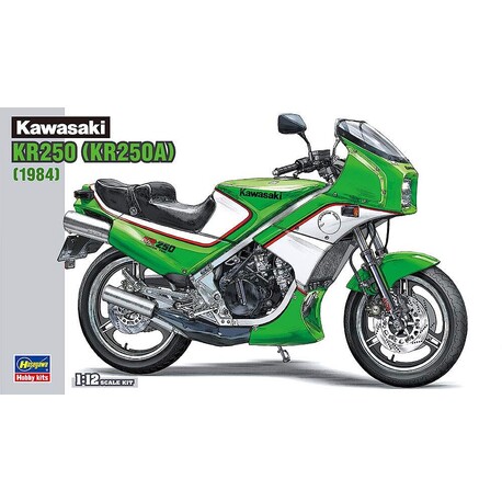 Hasegawa BK12 Kawasaki KR250 (KR250A)