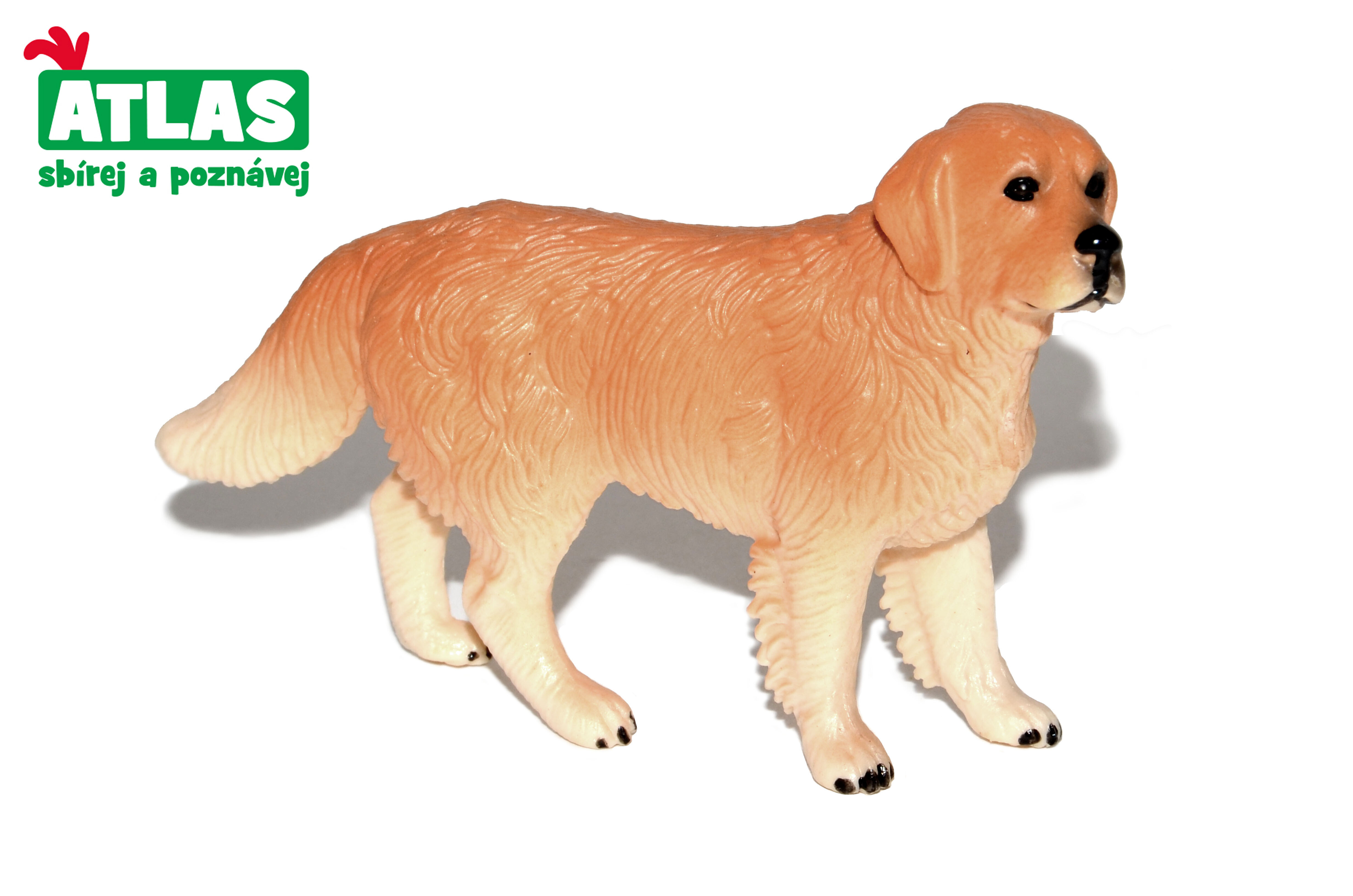 B - Figúrka Zlatý retriever 10 cm W101853