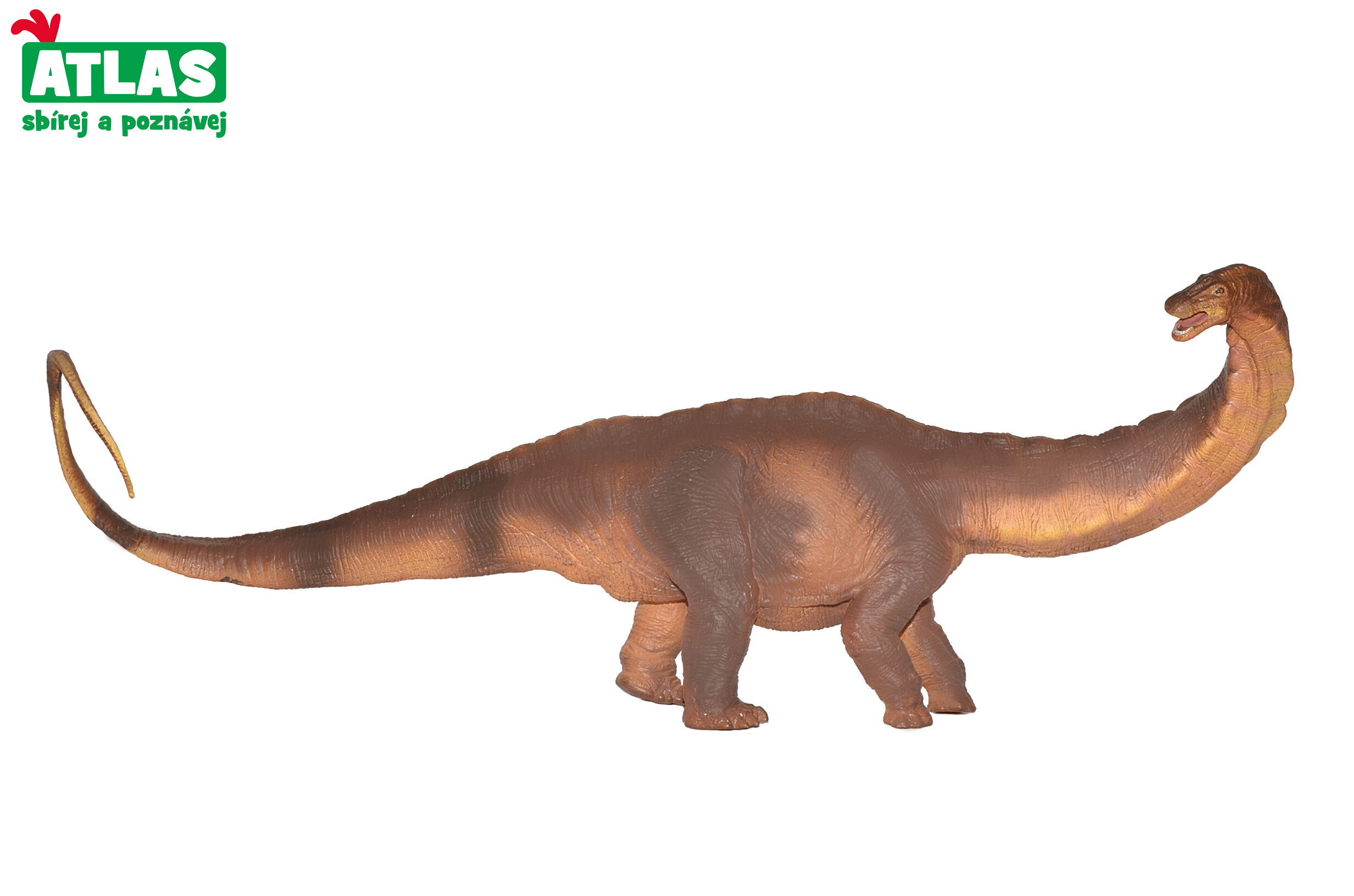 Atlas G - Figurka Dino Apatosaurus 33 cm - W101838 - expresní doprava