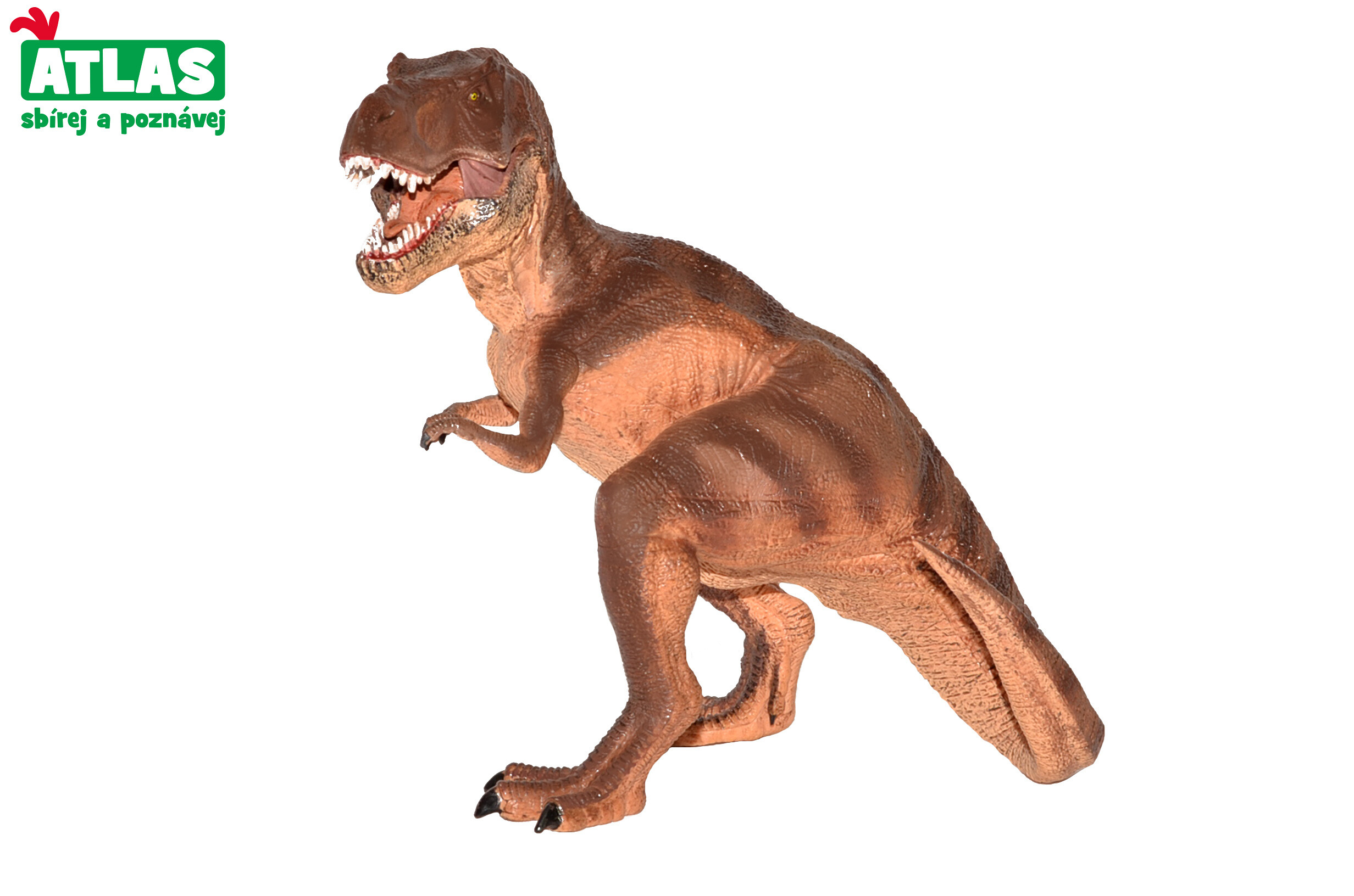 Atlas G - Figurka Dino Tyrannosaurus Rex 22 cm - W101835 - expresní doprava