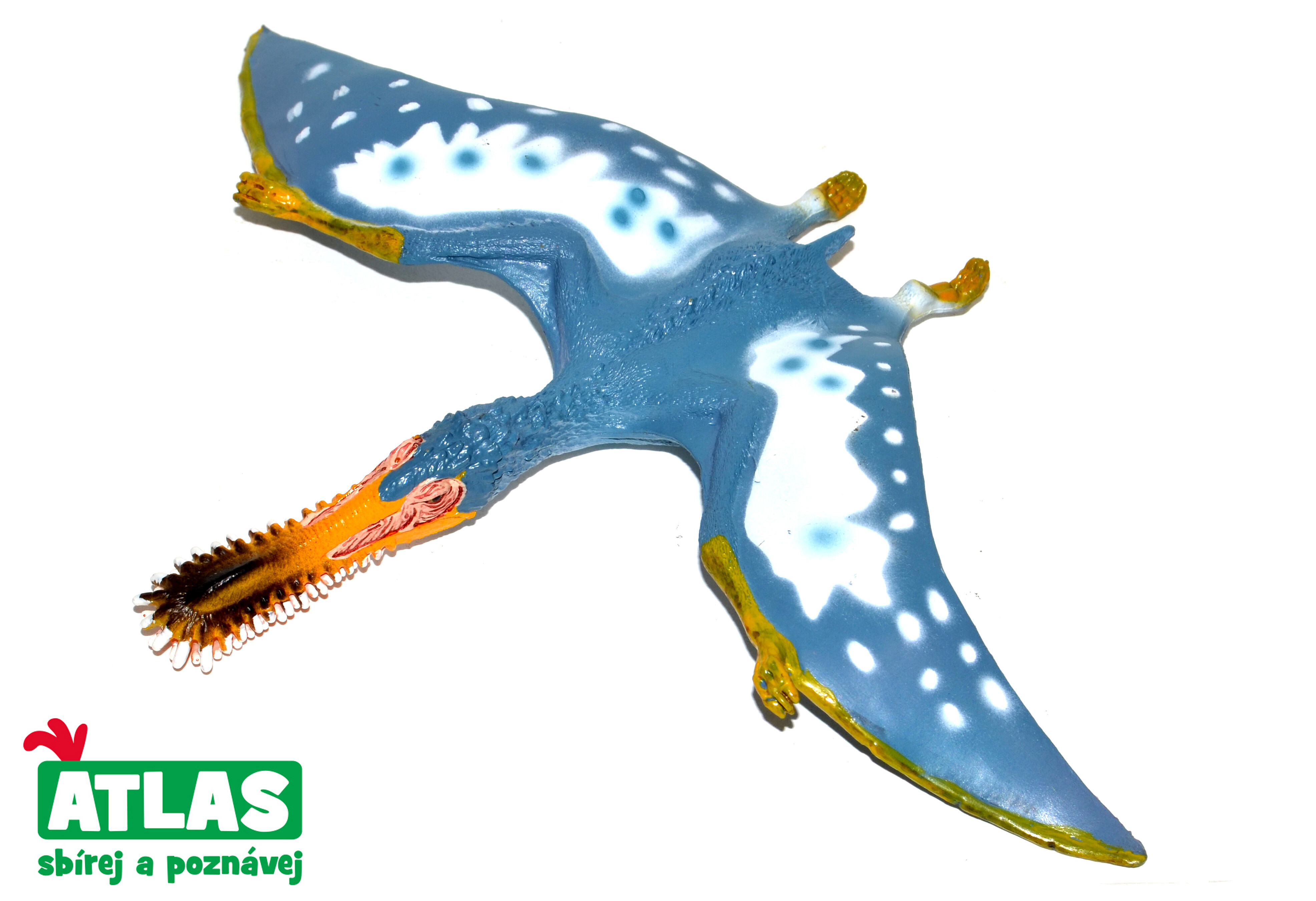 Atlas F - Figurka Dino Pterosaurus 15 cm - W101899 - expresní doprava