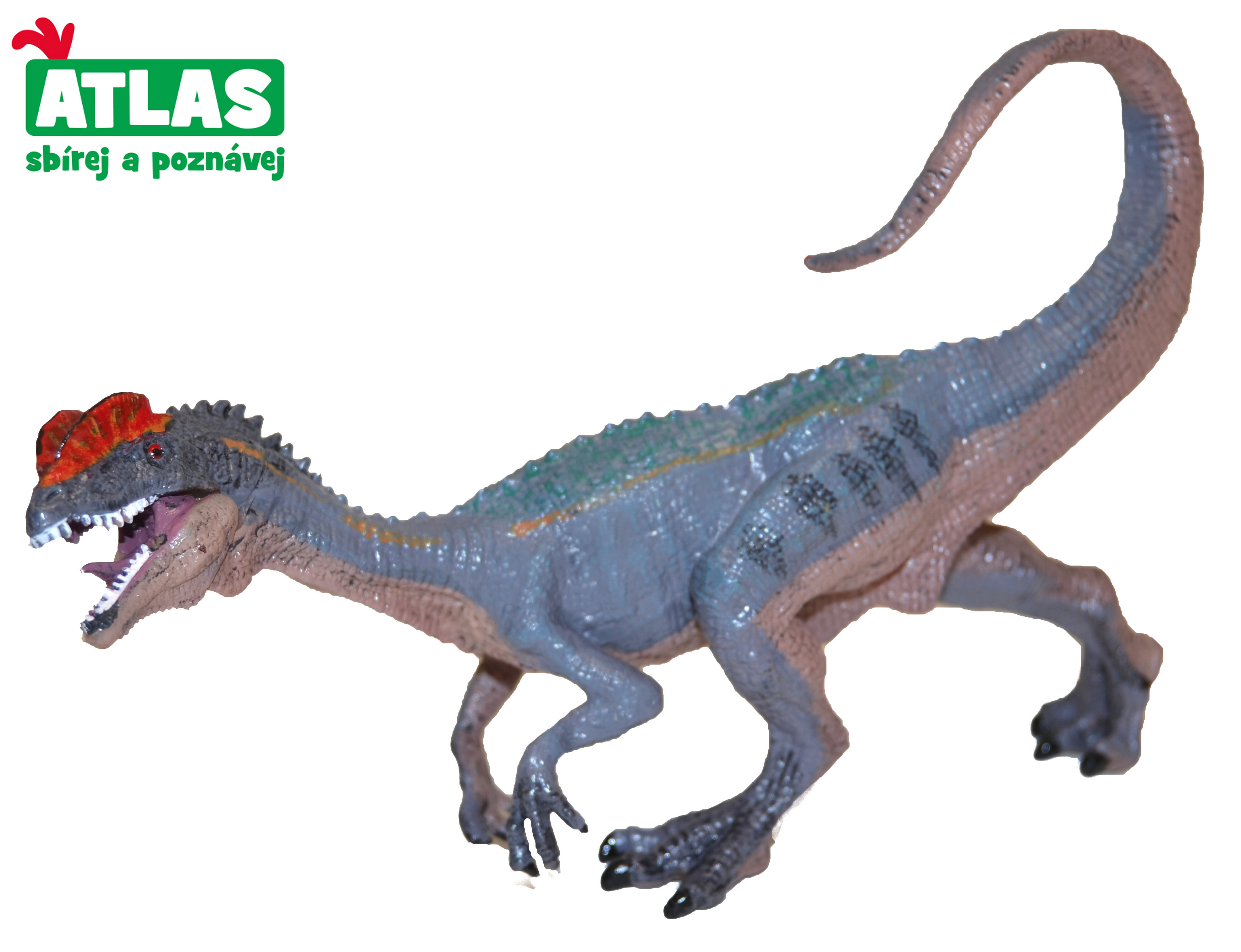 Atlas E - Figurka Dino Dilophosaurus 15 cm - W101895 - expresní doprava