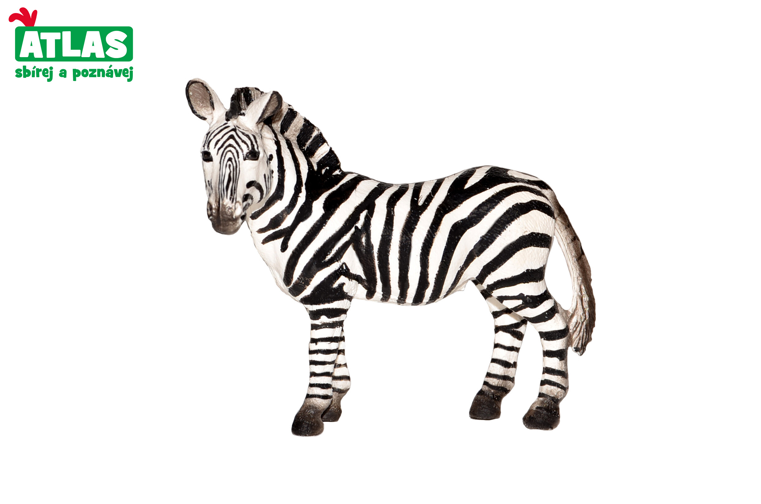 Atlas E - Figurka Zebra 10 cm - W101819 - expresní doprava