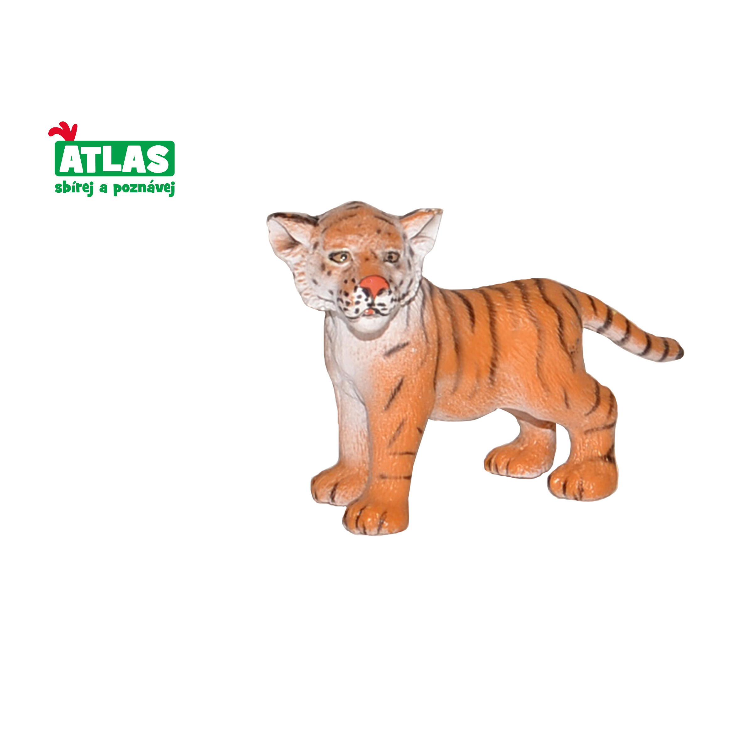 Atlas A - Figurka Tygr mládě 6,5cm - W101808 - expresní doprava