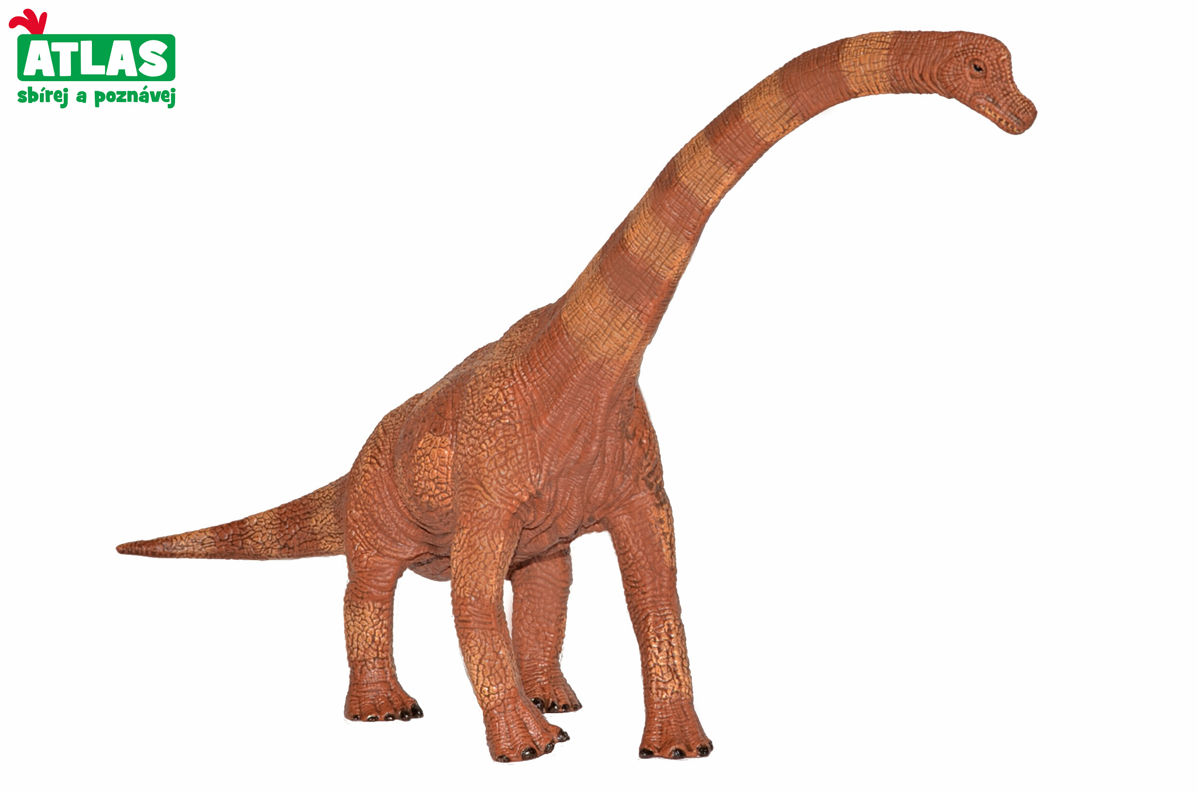 Atlas G - Figurka Dino Brachiosaurus 30 cm - W101830 - expresní doprava