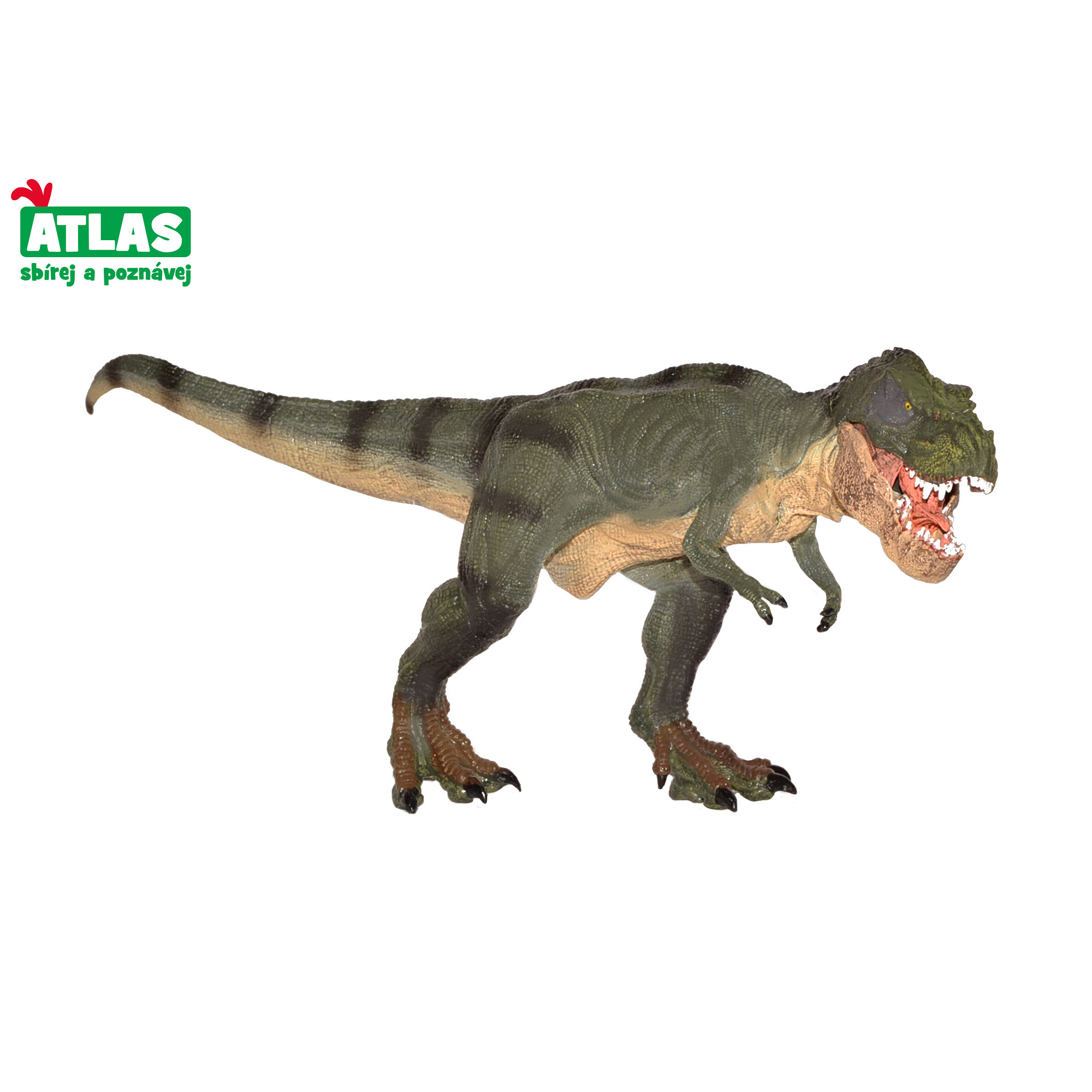 Atlas G - Figurka Dino Tyrannosaurus Rex 31 cm - W101834 - expresní doprava