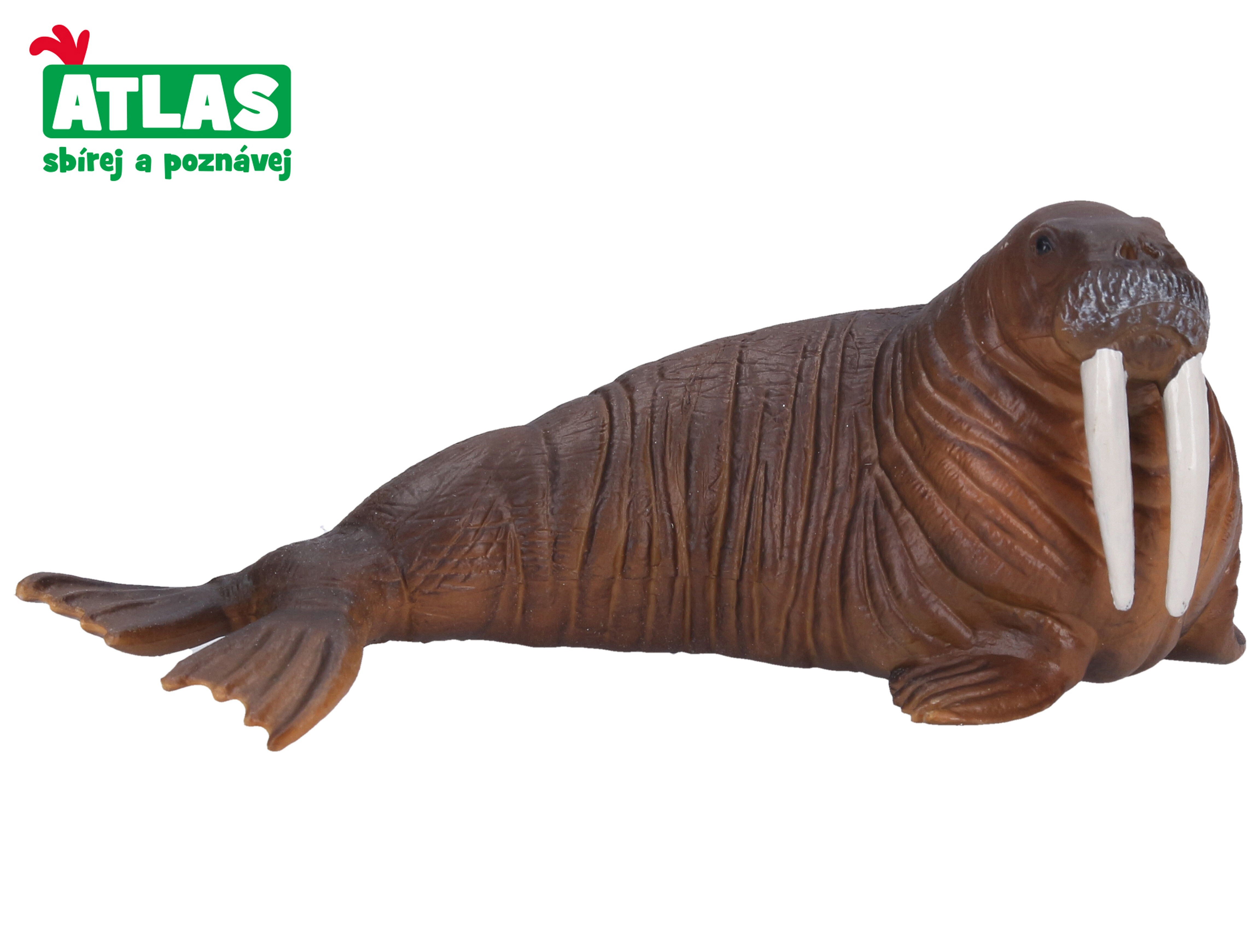 Atlas E - Figurka Mrož 13 cm - W001791 - expresní doprava